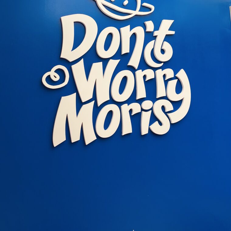 2024 02 17 Zeperito Wonderlnad