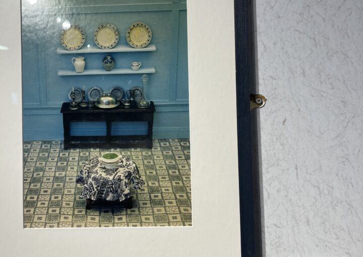 2024 02 16 Zeperito Wonderlnad