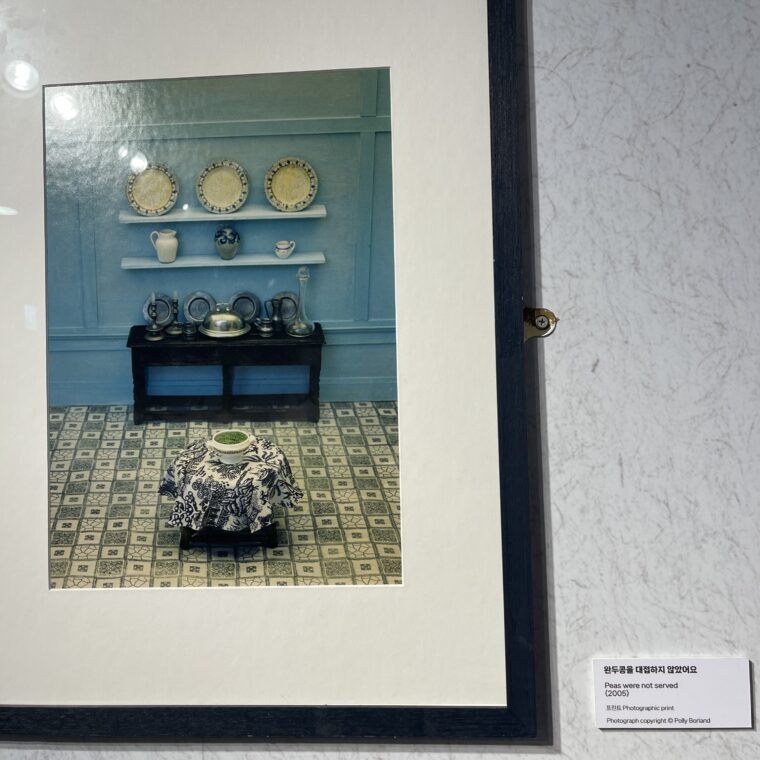 2024 02 16 Zeperito Wonderlnad