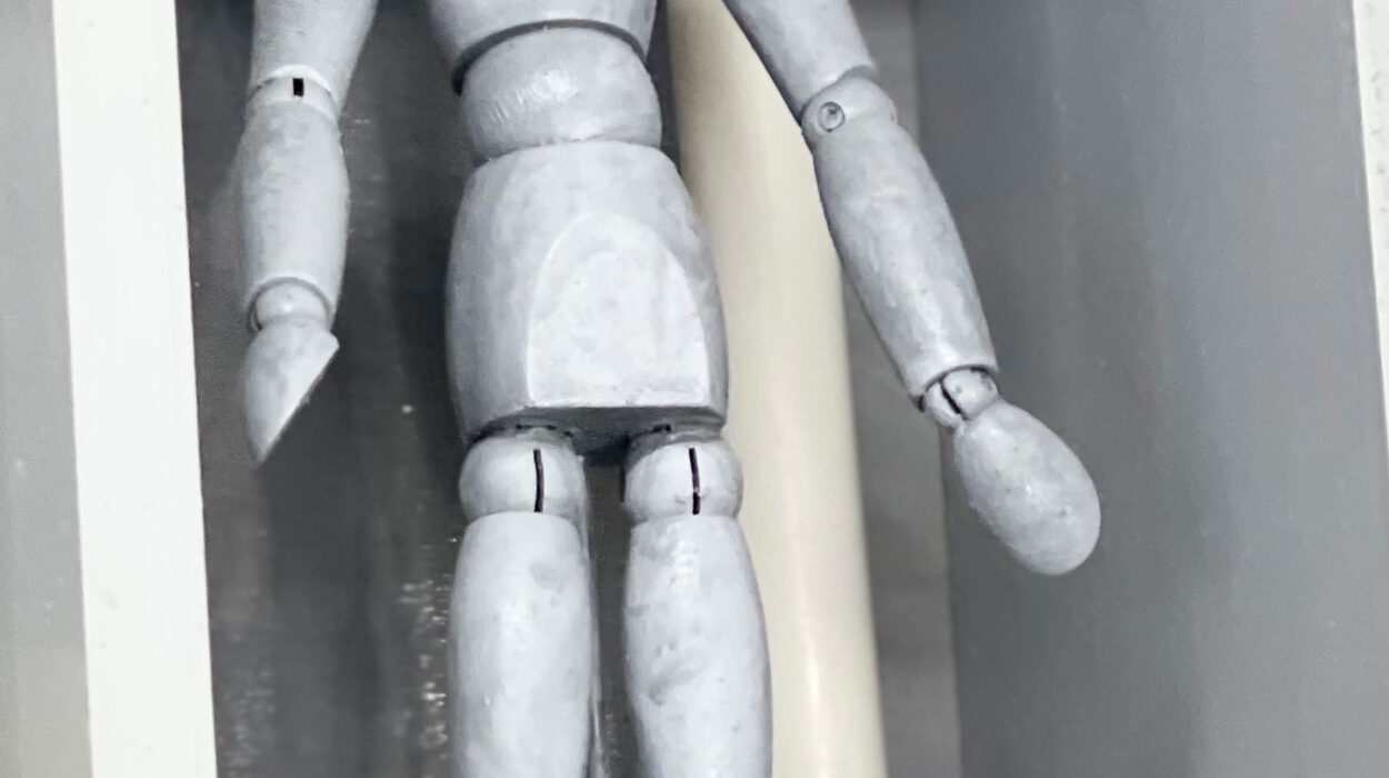 2024 02 23 Zeperito Wonderland