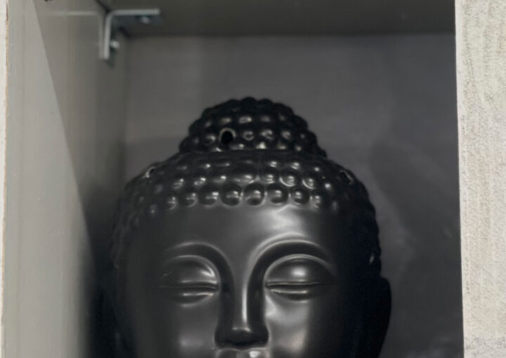 2024 02 19 Zeperito Wonderland