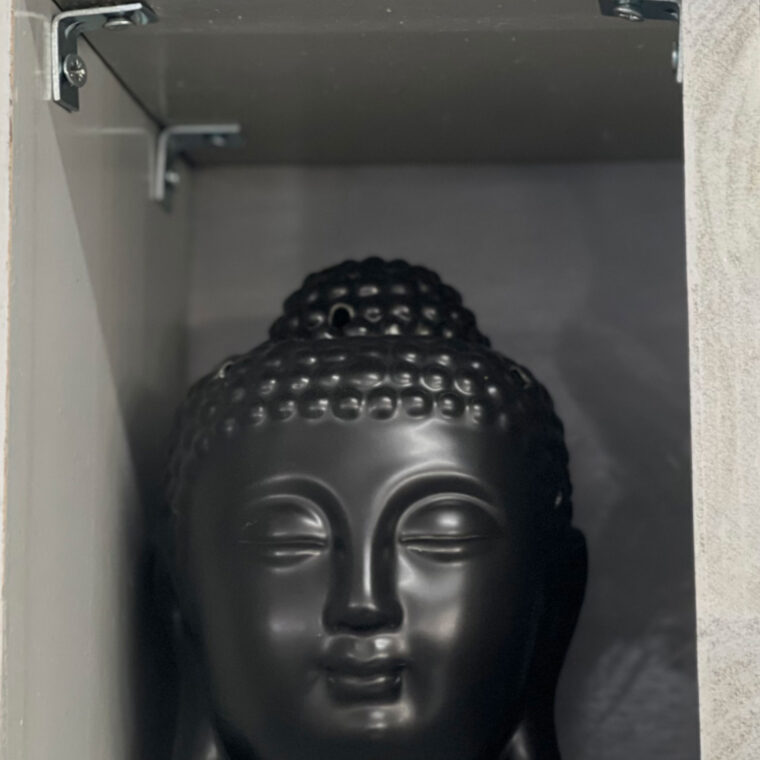 2024 02 19 Zeperito Wonderland