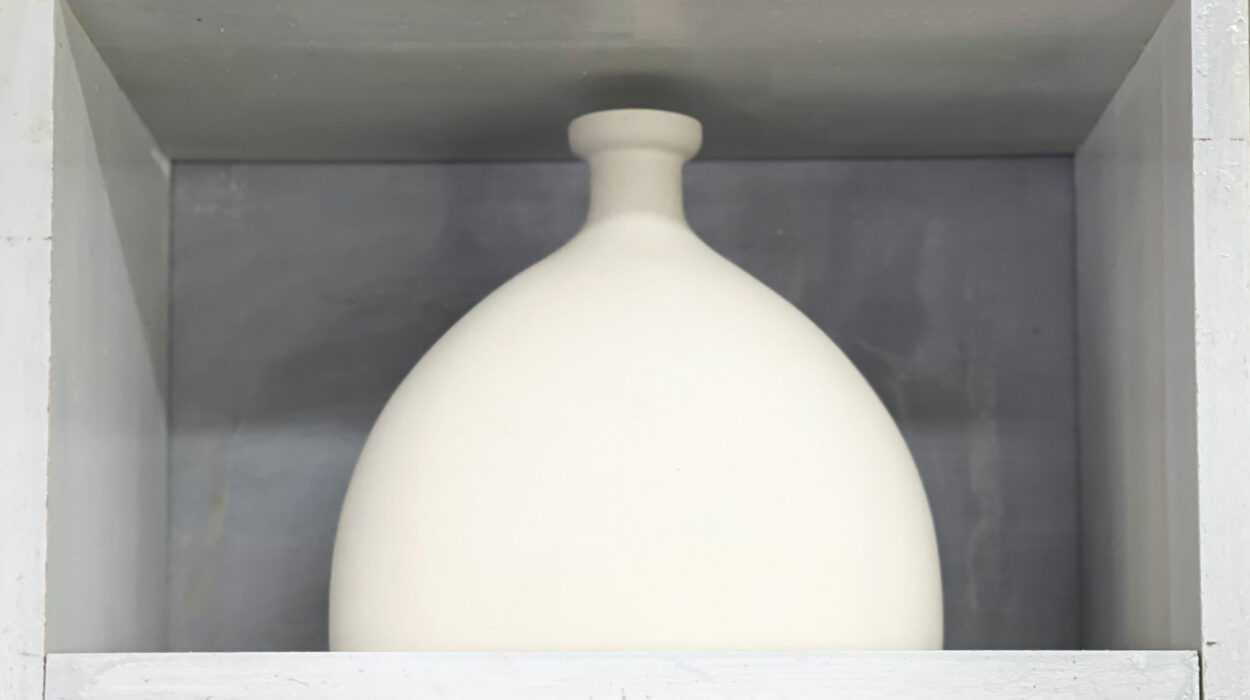 2024 02 27 Zeperito Wonderland