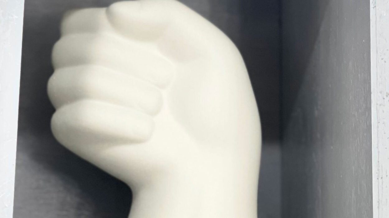 2024 02 21 Zeperito Wonderland