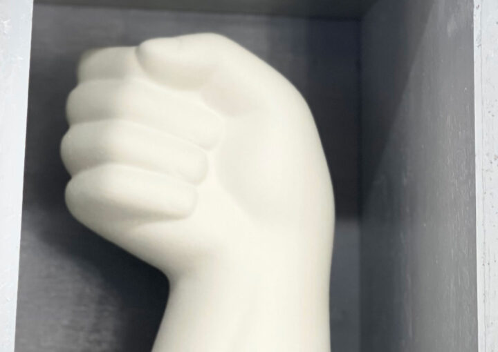 2024 02 21 Zeperito Wonderland