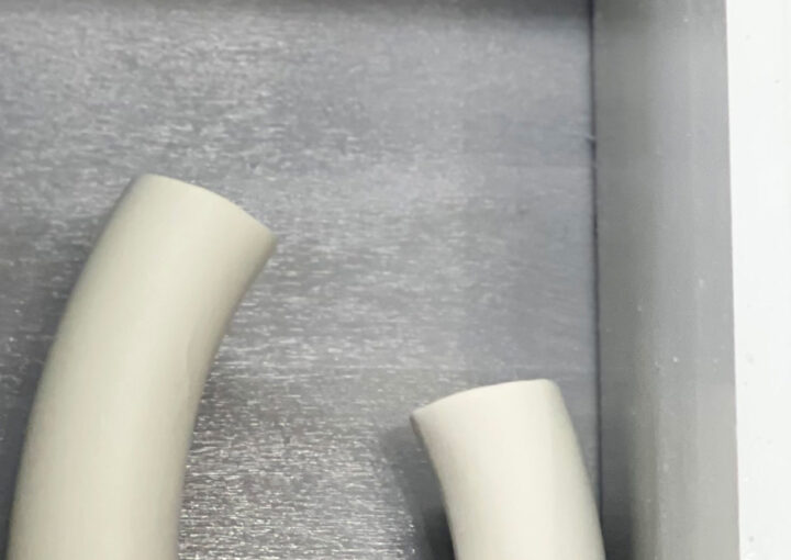 2024 02 22 Zeperito Wonderland