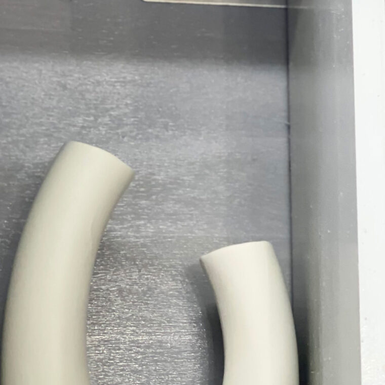 2024 02 22 Zeperito Wonderland