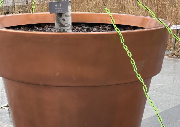 2024 02 25 Zeperito Wonderland