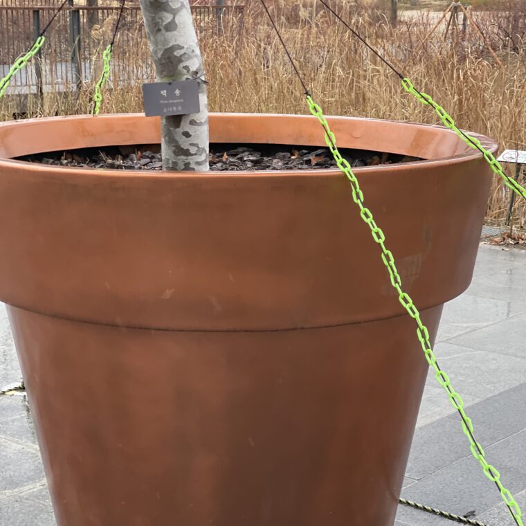 2024 02 25 Zeperito Wonderland