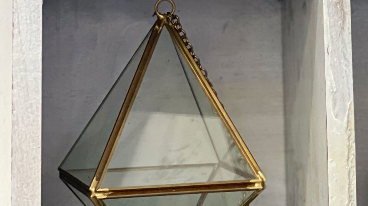 2024 03 01 Zeperito Wonderland