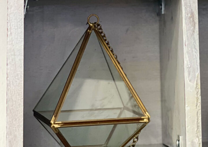 2024 03 01 Zeperito Wonderland