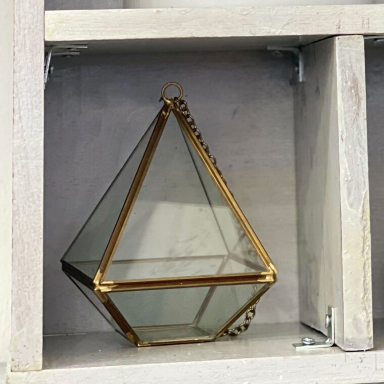 2024 03 01 Zeperito Wonderland