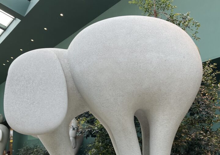 2024 03 09 Zeperito Wonderland