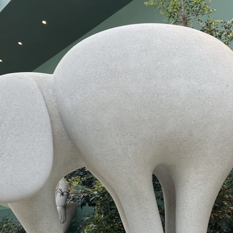 2024 03 09 Zeperito Wonderland