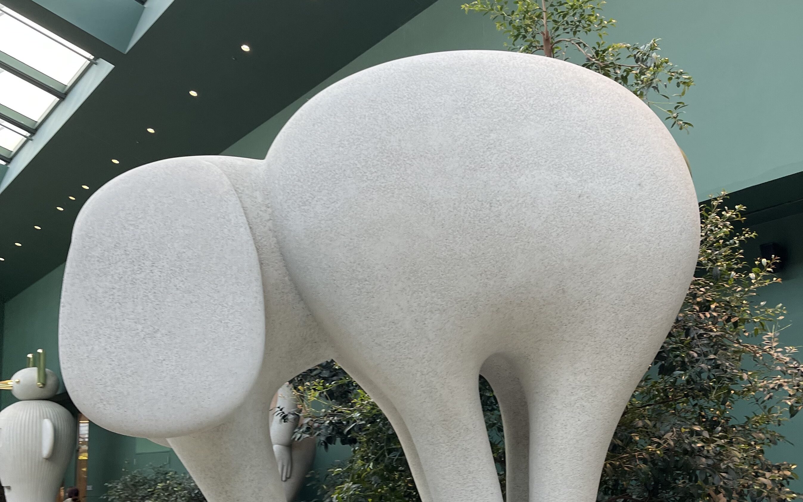 2024 03 09 Zeperito Wonderland