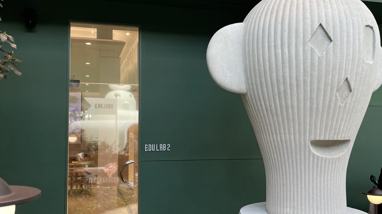 2023 03 10 Zeperito Wonderland