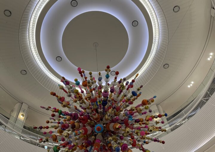 2024 03 08 Zeperito Wonderland