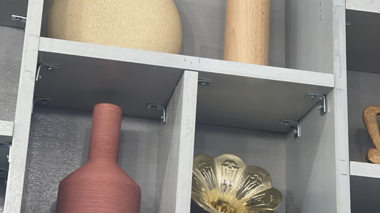 2024 03 07 Zeperito Wonderland