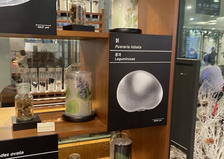 2024 03 21 Zeperito Wonderland