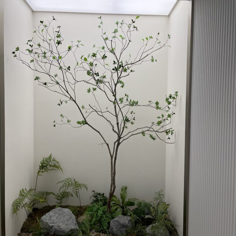 2024 03 04 Zeperito Wonderland