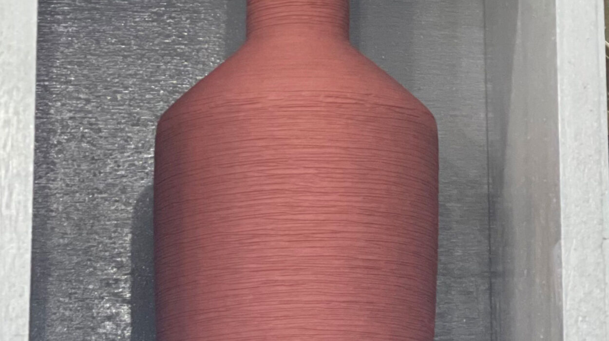 2024 03 20 Zeperito Wonderland