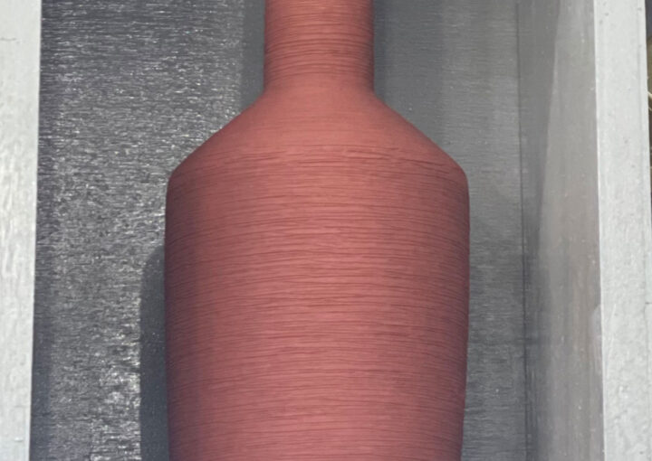 2024 03 20 Zeperito Wonderland