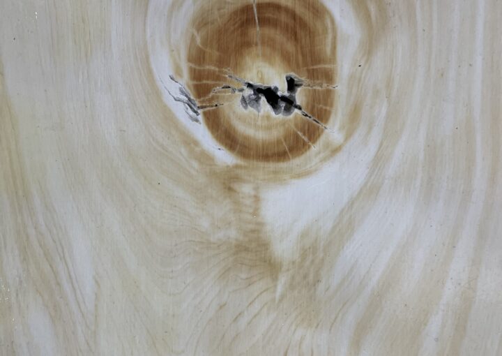 2024 03 27 Zeperito Wonderland