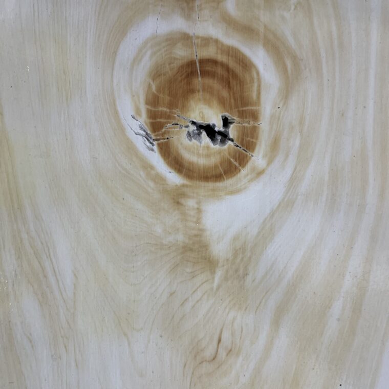 2024 03 27 Zeperito Wonderland