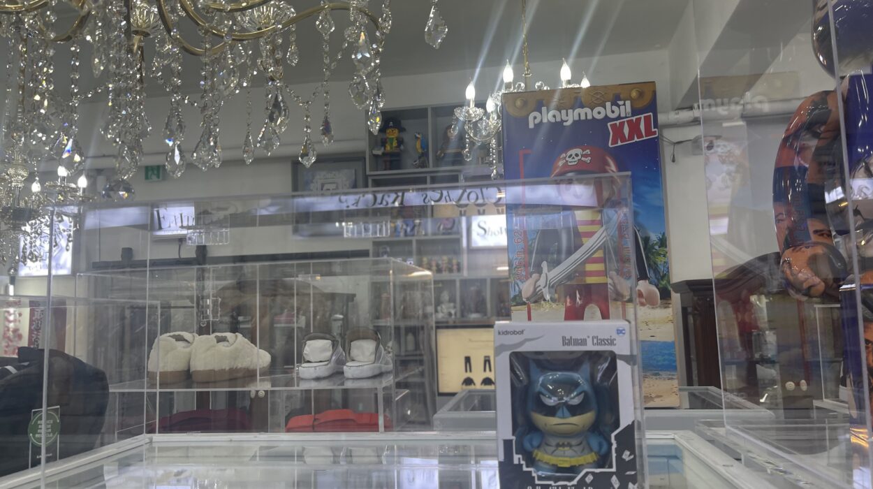 2024 03 25 Zeperito Wonderland