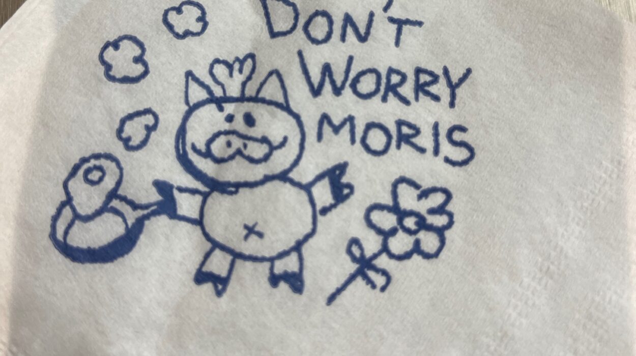 2024 03 30 Zeperito Wonderland