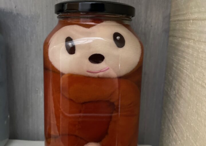 2024 04 08 Zeperito Wonderland