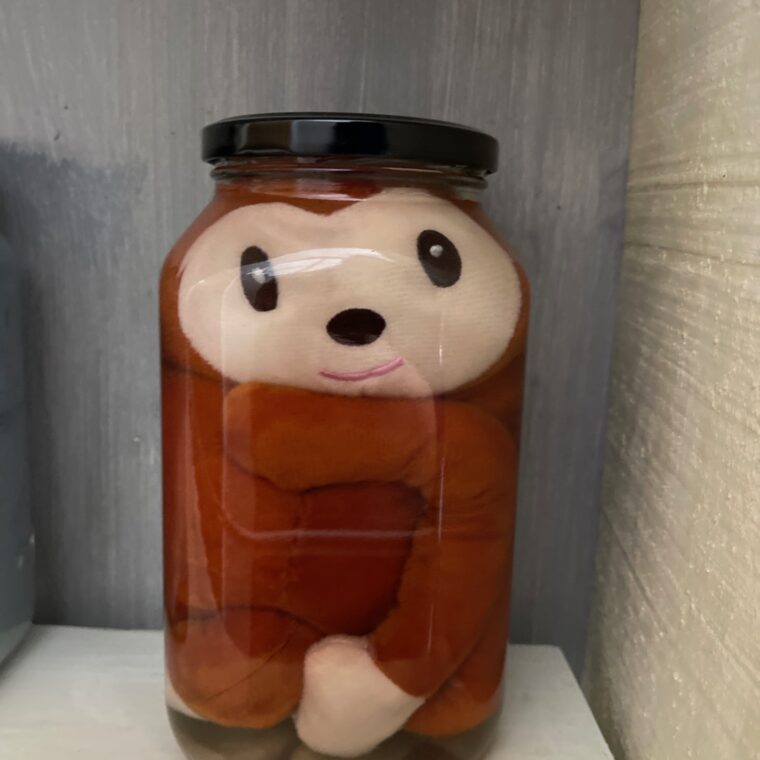 2024 04 08 Zeperito Wonderland