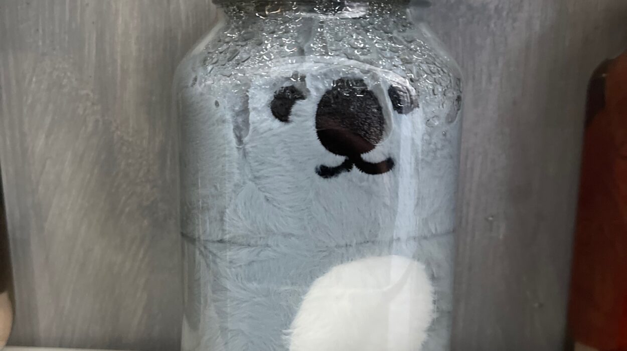 2024 04 05 Zeperito Wonderland