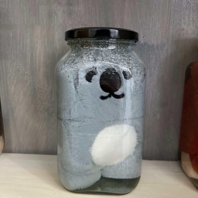 2024 04 05 Zeperito Wonderland