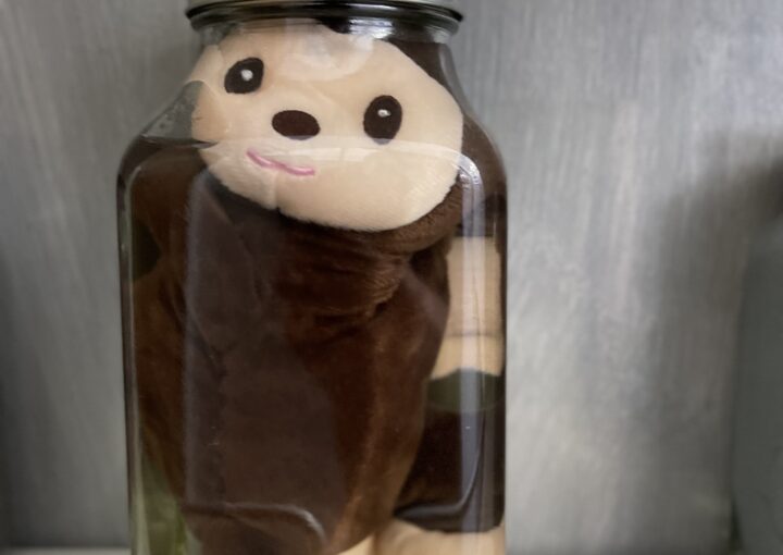 2024 04 10 Zeperito Wonderland