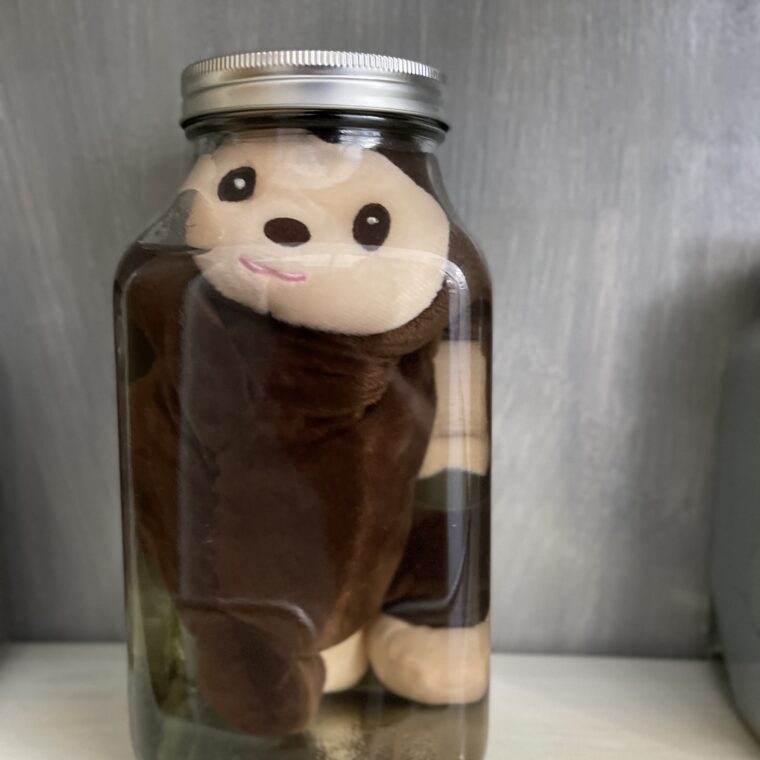 2024 04 10 Zeperito Wonderland