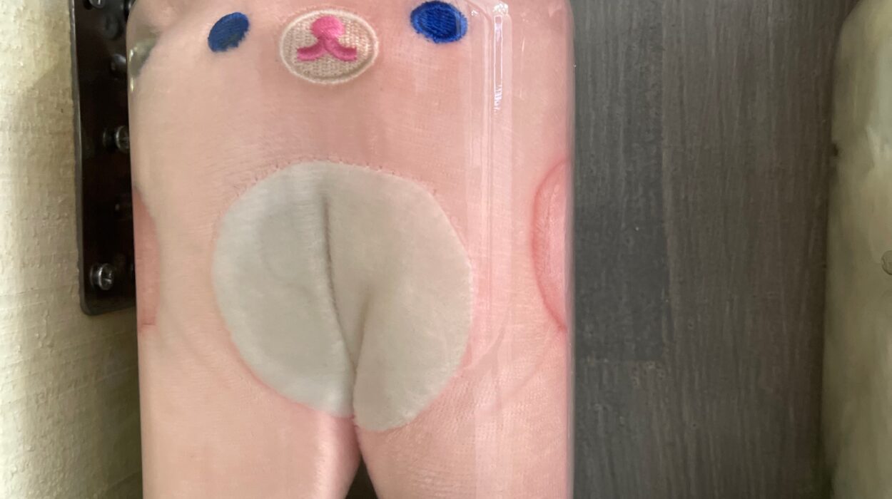 2024 04 01 Zeperito Wonderland