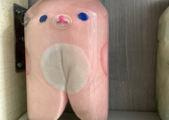 2024 04 01 Zeperito Wonderland