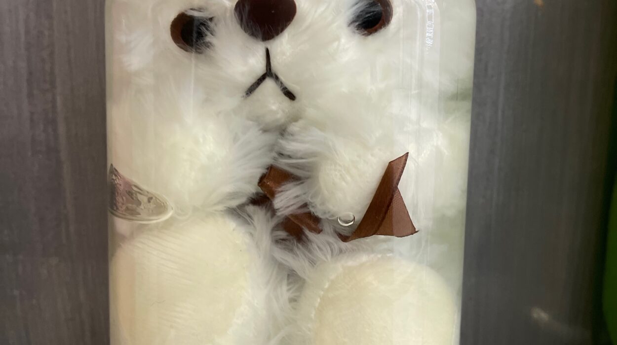 2024 04 03 Zeperito Wonderland