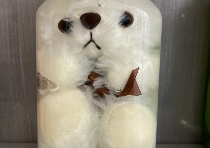 2024 04 03 Zeperito Wonderland