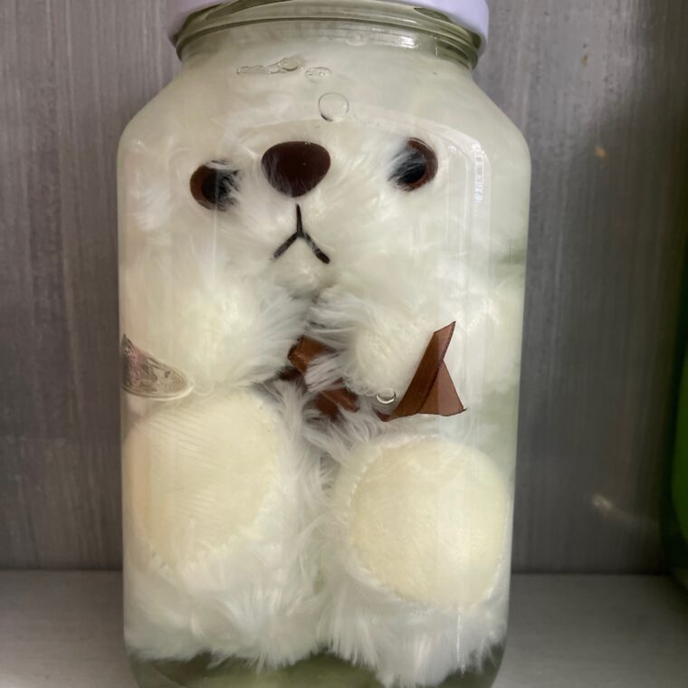 2024 04 03 Zeperito Wonderland