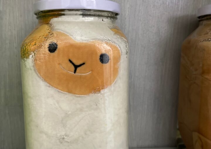 2024 03 29 Zeperito Wonderland