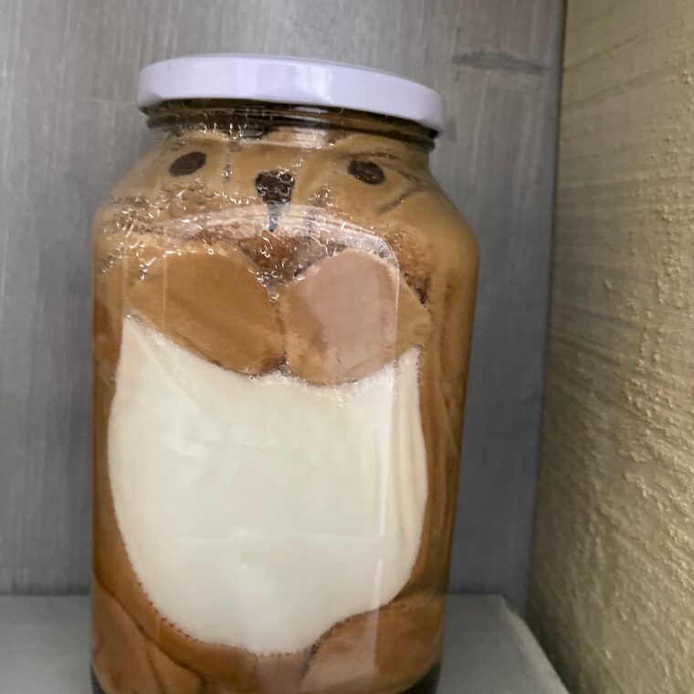 2024 03 28 Zeperito Wonderland