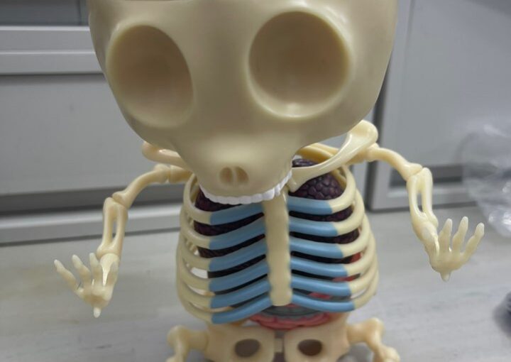 2024 04 11 Zeperito Wonderland