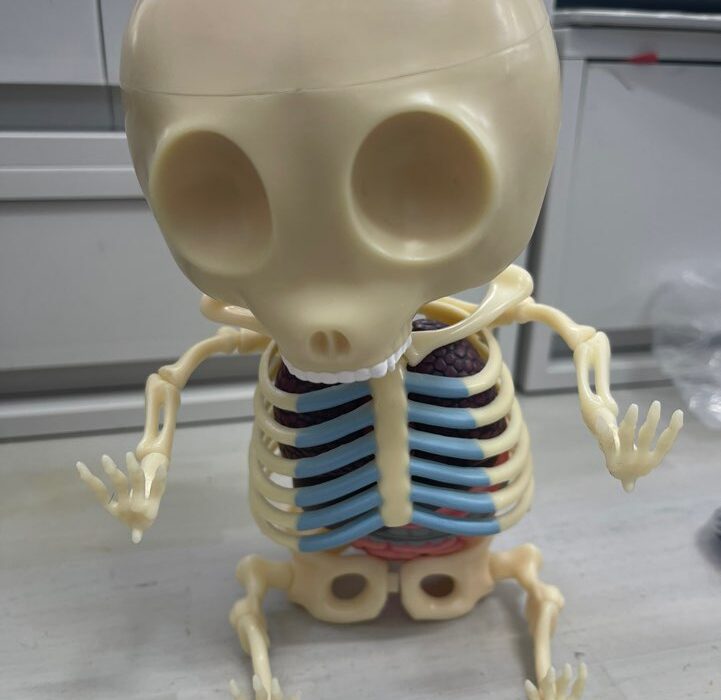 2024 04 11 Zeperito Wonderland