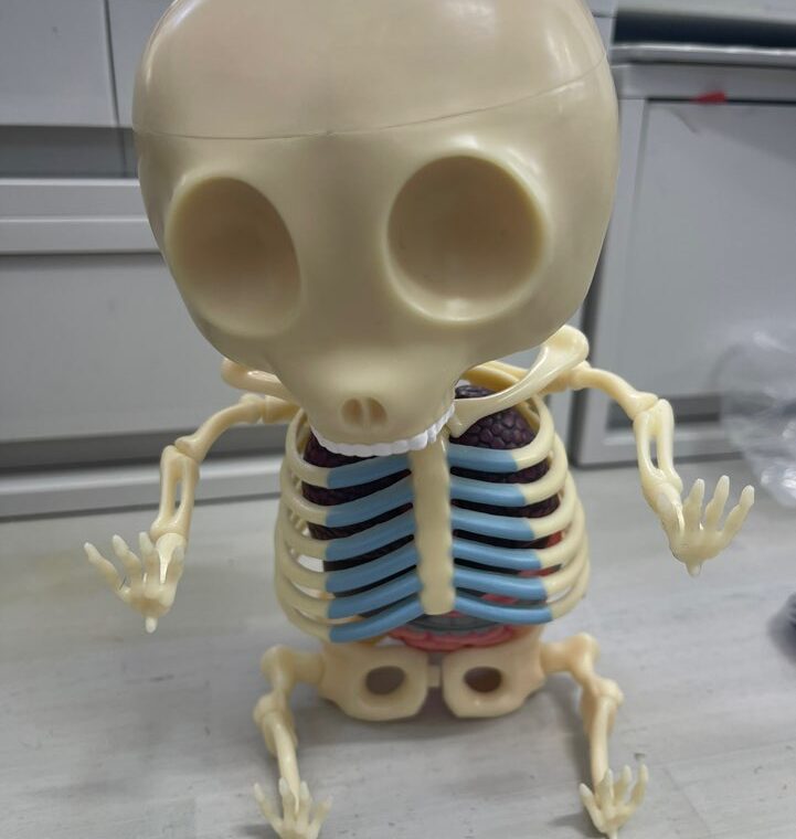 2024 04 11 Zeperito Wonderland