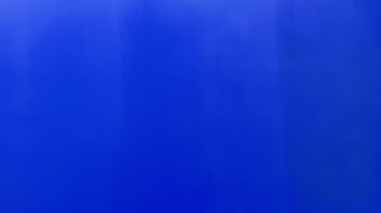 2024 04 24 Zeperito Wonderland