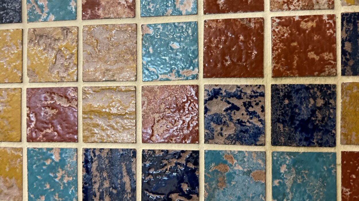 2024 04 23 Zeperito Wonderland