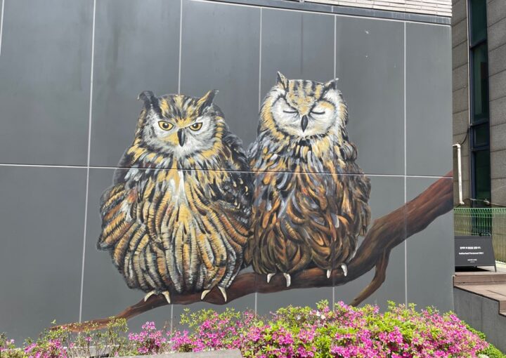 2024 04 28 Zeperito Wonderland