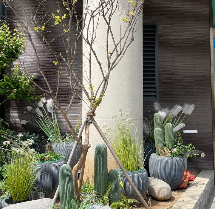 2024 04 27 Zeperito Wonderland